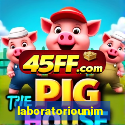 laboratoriounimedblumenau.com.br